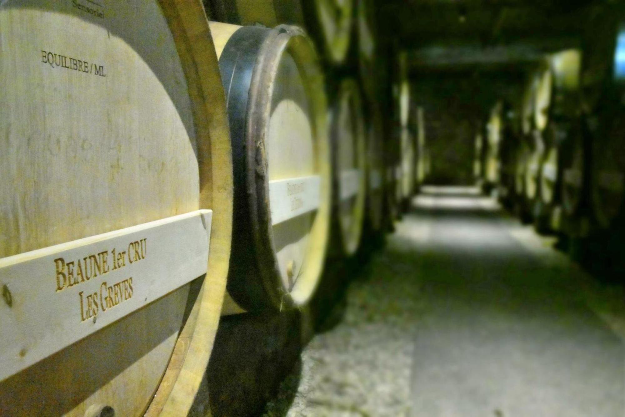 Les Chambres Du Foulot Beaune  Zewnętrze zdjęcie